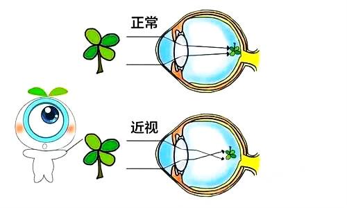 edac94a610b9465dbe34cedb32cbc0a3.jpg edac94a610b9465dbe34cedb32cbc0a3.jpg