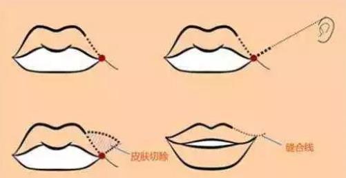 360截圖20230210151848535.jpg 360截圖20230210151848535.jpg