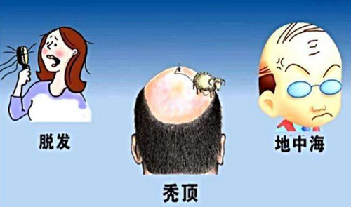 2022-02-17_181843.jpg 2022-02-17_181843.jpg