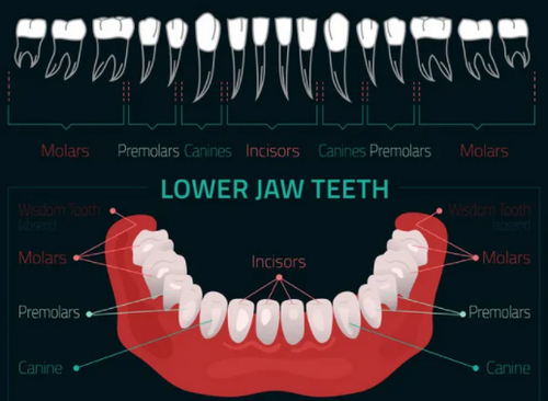 截圖14461.jpg 截圖14461.jpg
