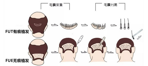 2021-10-22_113246.jpg 2021-10-22_113246.jpg
