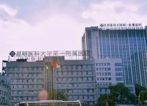 昆明醫(yī)科大學(xué)第一附屬醫(yī)院.png