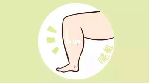 u=3508135243,2499393967&fm=253&fmt=auto&app=138&f=JPEG.webp.jpg u=3508135243,2499393967&fm=253&fmt=auto&app=138&f=JPEG.webp.jpg