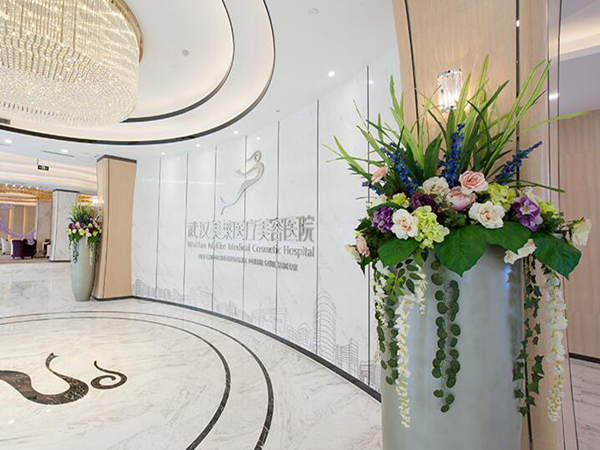 武漢美萊醫(yī)療美容醫(yī)院.jpg