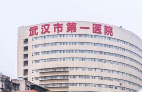 武漢市第一醫(yī)院.jpg