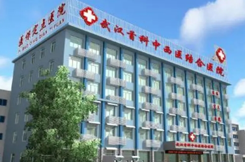 武漢市中西醫(yī)結合醫(yī)院.jpg